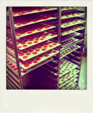 17.02.10---18--pola.jpg