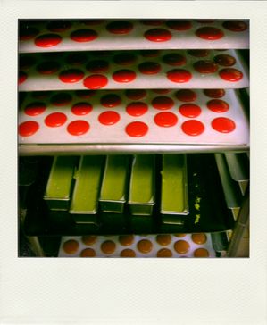 18.02.10--10--pola.jpg