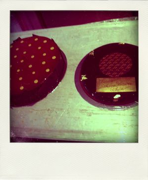 18.02.10--6--pola.jpg