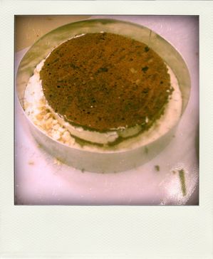 30.03.10--50--pola.jpg