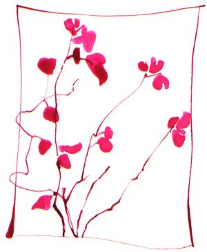 fengshui