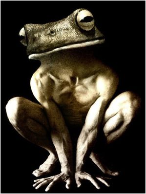Homme-grenouille.jpg