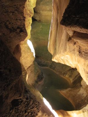palomeras-fornocal--9-.jpg