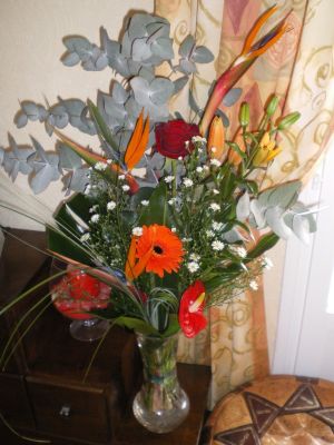 IMGP0736