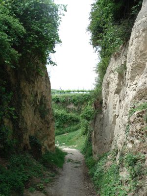 2011-05-17---kaiserstuhl---188.JPG