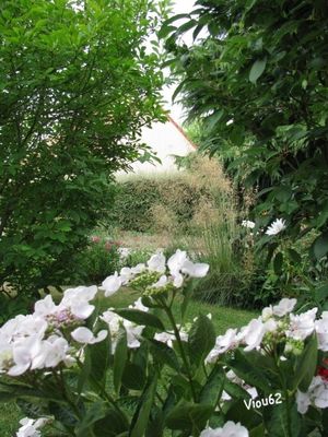 Le-Jardin-en-2010 3723