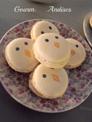 Macarons oiseau