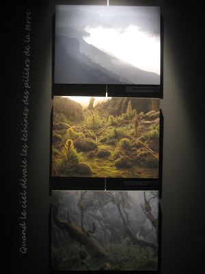 2011-part5-0739.JPG