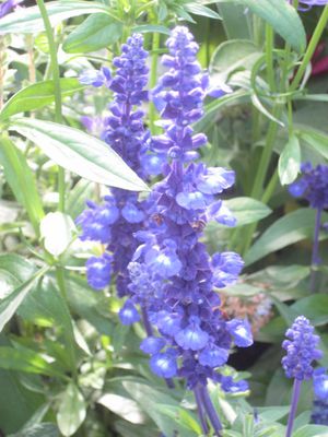 2011-part5-0936.JPG
