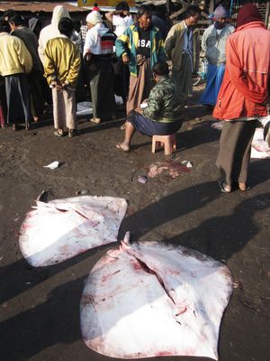 Sittwe-17.JPG