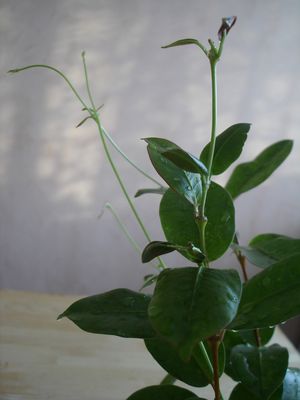 DSC00648.JPG