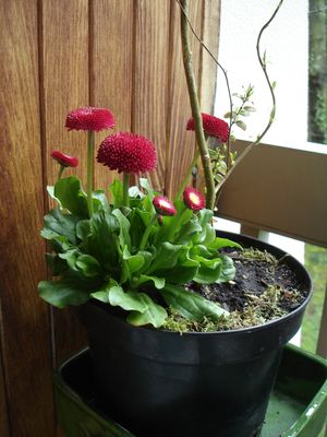 DSC01591