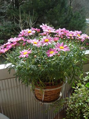DSC01645