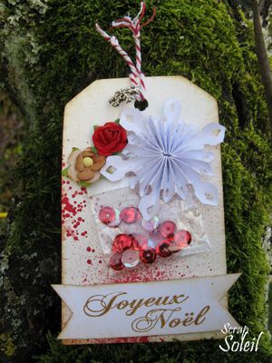 Tag-noel-shaker-box.jpg