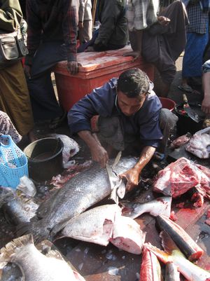 Sittwe-16.JPG