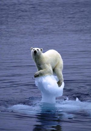 GRAND NORD RECHAUFFEMENT