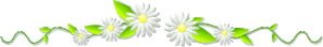 9ld6qrez