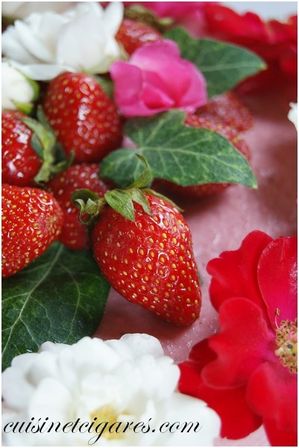 Bavarois Fraises Pistaches Duo 1000
