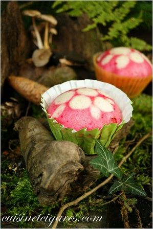 Muffin Amanite Duo 1
