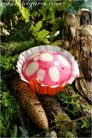 Muffin Amanite Duo 10
