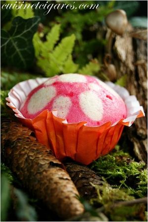 Muffin Amanite Duo 20