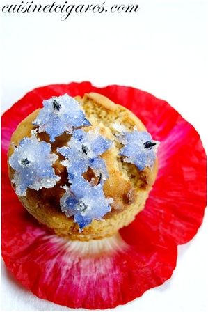 Muffins Gelée de Coquelicot MM#37 Duo 1