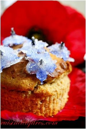 Muffins Gelée de Coquelicot MM#37 Duo 100