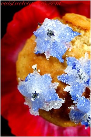 Muffins Gelée de Coquelicot MM#37 Duo 200