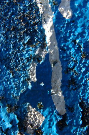 CRW_2710.jpg