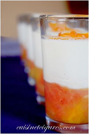 Panna Cotta sur Gelée d'Agrumes 2