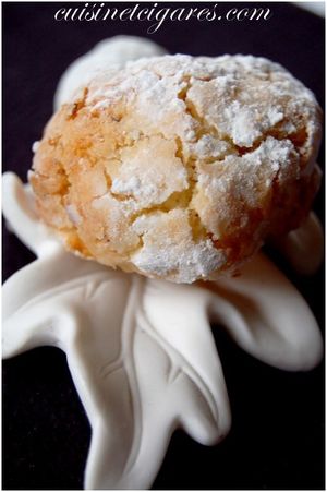 Macarons noix de coco Duo 20