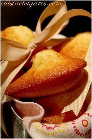 Madeleines d'Alex Duo 100