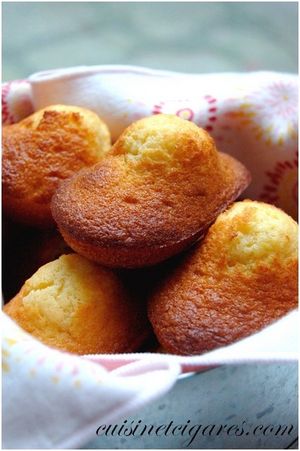 Madeleines d'Alex Duo 20