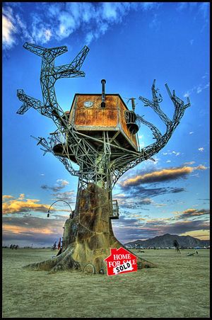 by Sean Orlando & Crew