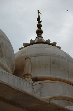 Agra fort rouge mosquee Moti Masjid de la perle (2)