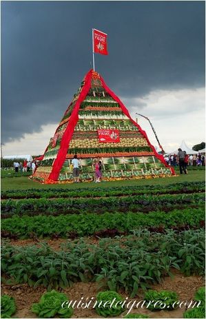 Terre à l'Envers Pyramide Légumes