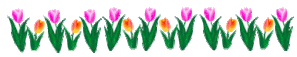 tulipes-ligne