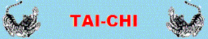 tigre-TAICHI-titre-kf.gif