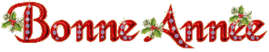 bonne-annee-2.gif