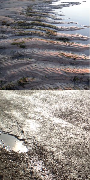 eautexture.jpg