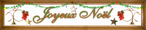 noel8