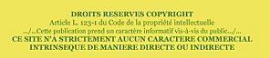 COPYRIGHT-copie-1
