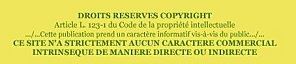COPYRIGHT-copie-1