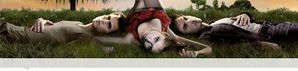 Vampires diairies