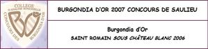 Burgondia 2007