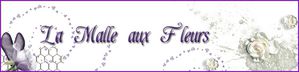 La malle aux fleurs-copie-1