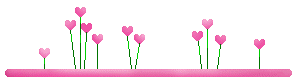 n1dkc4vf