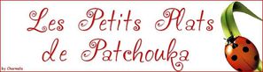 ban-patchouka-copie-4