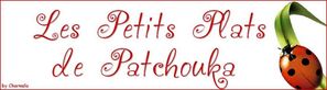 ban-patchouka-copie-4.jpg