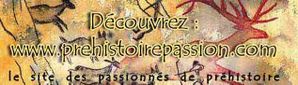 Pr-histoire Passion D-couverte